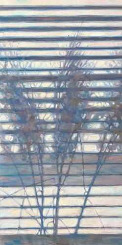 Shadow 15Behind The Blinds 1