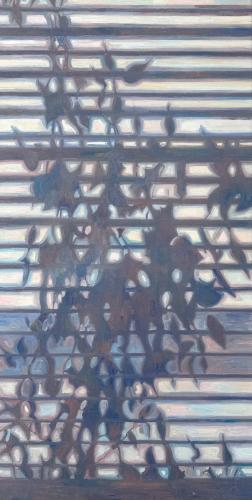 Shadow 17Behind The Blinds 2